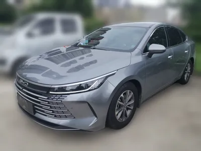 BYD Destroyer 05 · 2024 год