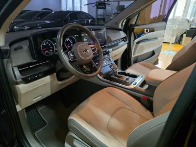 Kia Canival 2021, 34548 км, за 21480000 KRW - фото 6