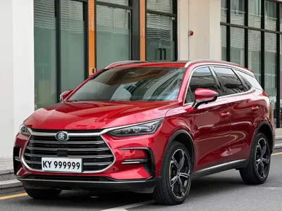 BYD Tang New Energy · 2021 год