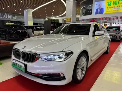 BMW 5 Series New Energy · 2020 год