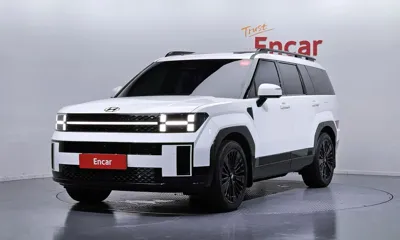 Hyundai Santafe · 2024 год