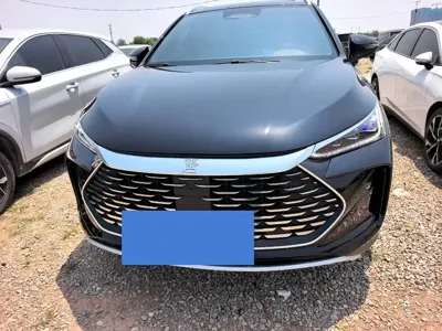 BYD Tang New Energy 2025, 29000 км, за 110000 CNY