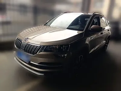 Skoda Karoq · 2019 год