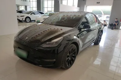 Tesla Model Y · 2021 год