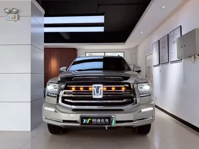 Tank Tank 500 New Energy 2023, 28000 км, за 239000 CNY