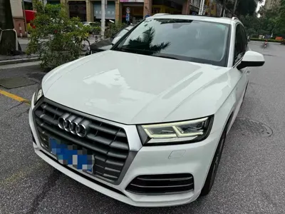 Audi Q5L · 2019 год