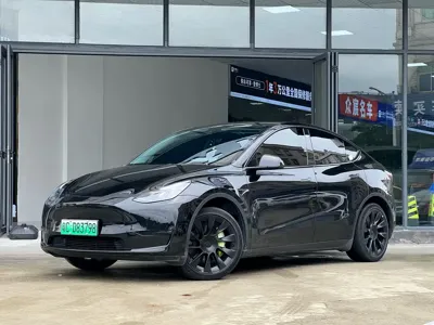 Tesla Model Y · 2024 год