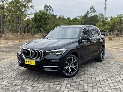 BMW X5 (Import) · 2019 год