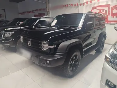 Tank Tank 300 2023, 38100 км, за 162000 CNY