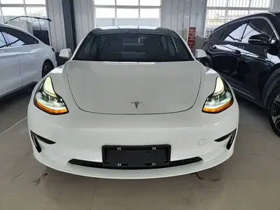 Tesla Model 3 2021, 44100 км, за 126800 CNY