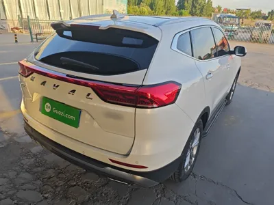 Haval H6 2021, 24000 км, за 72221.63 CNY - фото 6