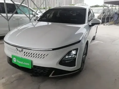 Wuling Xingguang · 2024 год
