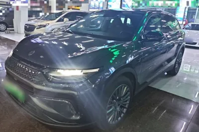 Leapmotor C11 · 2023 год
