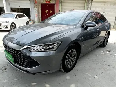 BYD Qin Plus · 2024 год