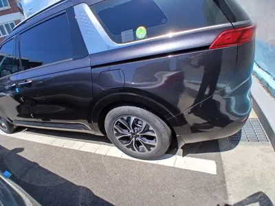 Kia Canival 2023, 54056 км, за 26000000 KRW