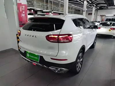 Haval H6 2020, 112400 км, за 41200 CNY - фото 7