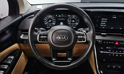 Kia Canival 2021, 98045 км, за 24950000 KRW - фото 13