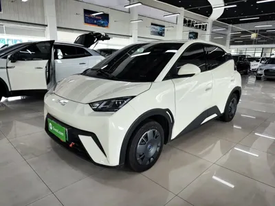 BYD Seagull · 2024 год