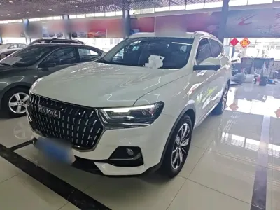 Haval H6 · 2024 год
