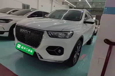 Haval H6 · 2021 год