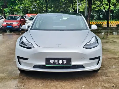 Tesla Model 3 2020, 29000 км, за 109800 CNY