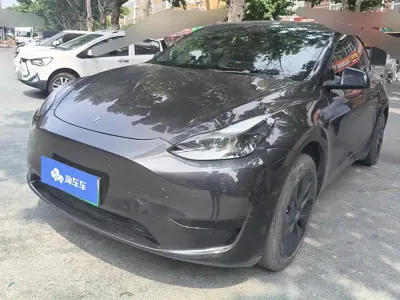 Tesla Model Y · 2024 год