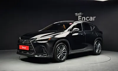 Lexus NX · 2025 год