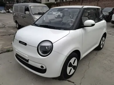 Qiyuan Lumin · 2026 год