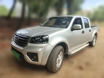Great Wall Fengjun 5 · 2020 год