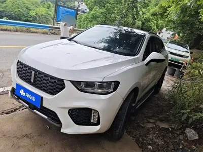 WEY Wey VV5 · 2019 год