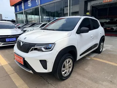 Venucia e30 · 2021 год