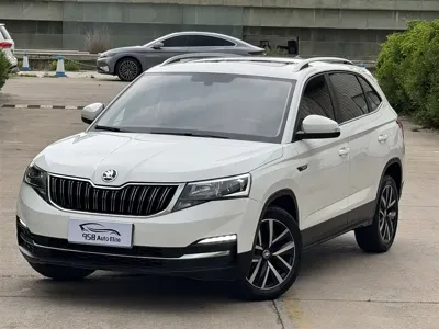 Skoda Kamiq · 2022 год