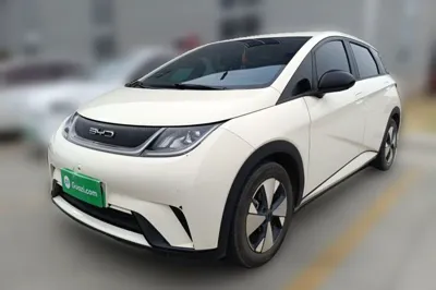 BYD Dolphin · 2023 год