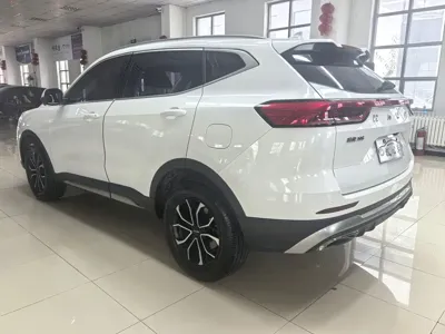 Haval H6 2023, 25000 км, за 79800 CNY - фото 6