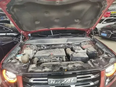 Haval Big Dog 2021, 60500 км, за 58600 CNY - фото 20