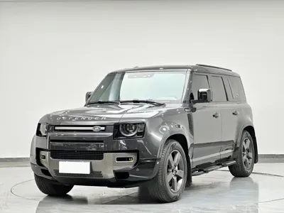 Land Rover Defender · 2024 год