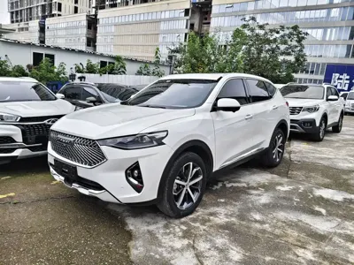 Haval F7 · 2020 год