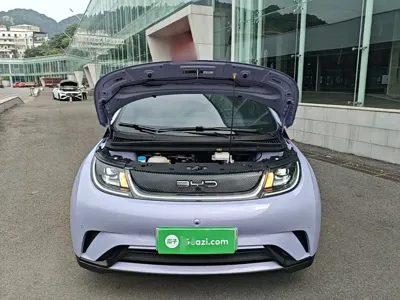 BYD Dolphin 2023, 76500 км, за 60400 CNY - фото 17