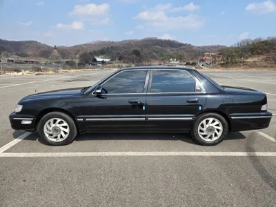 Hyundai Dynasty 2004, 167979 км, за 4200000 KRW - фото 3