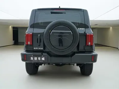 Tank Tank 300 2024, 45500 км, за 139800 CNY
