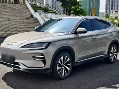 BYD PLUS New Energy · 2024 год