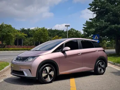 BYD Dolphin · 2023 год