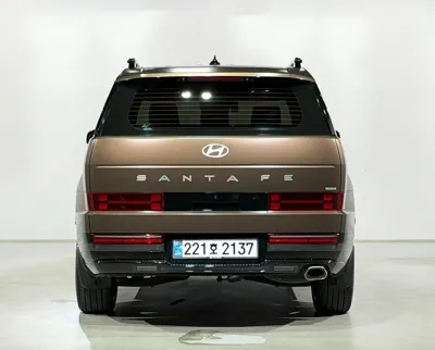 Hyundai Santafe 2024, 44825 км, за 14400000 KRW - фото 9
