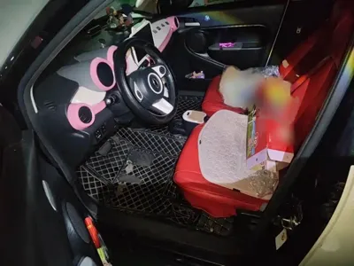 ORA Ora Black Cat 2019, 65800 км, за 28900 CNY - фото 8