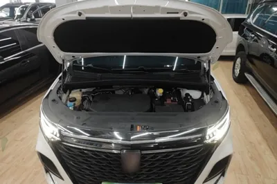 Roewe iMAX8 2022, 77000 км, за 101908.36 CNY - фото 30