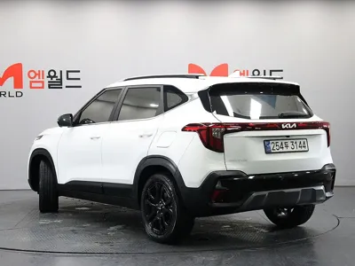 Kia Seltos 2025, 21365 км, за 29500000 KRW - фото 3