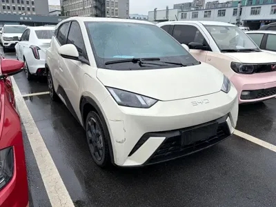 BYD Seagull 2024, 20000 км, за 49800 CNY