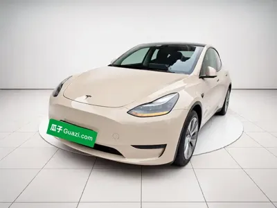 Tesla Model Y · 2021 год