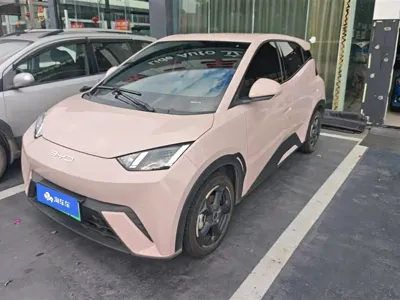 BYD Seagull · 2024 год