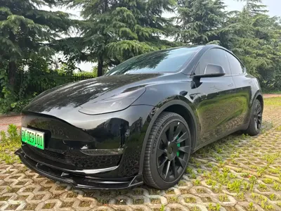 Tesla Model Y · 2024 год